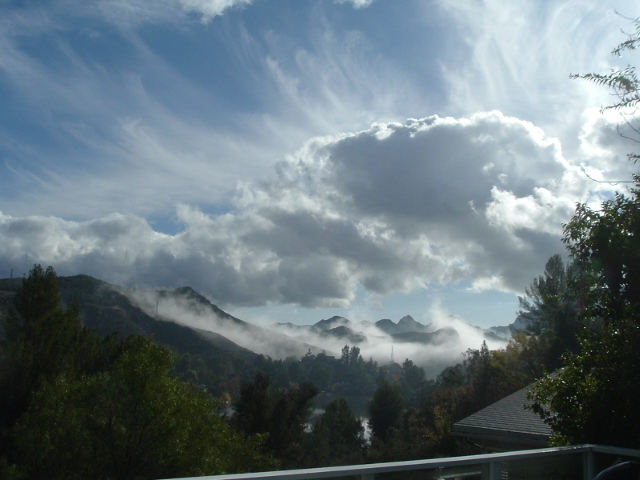 The view.